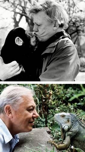 David-Attenborough-cumplira-100-anos-el-8-de-mayo-de-2026