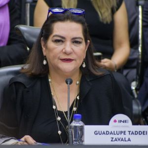 guadalupe-taddei-descarta-renunciar-al-ine-ante-presiones-y-pesquisa-de-la-asf