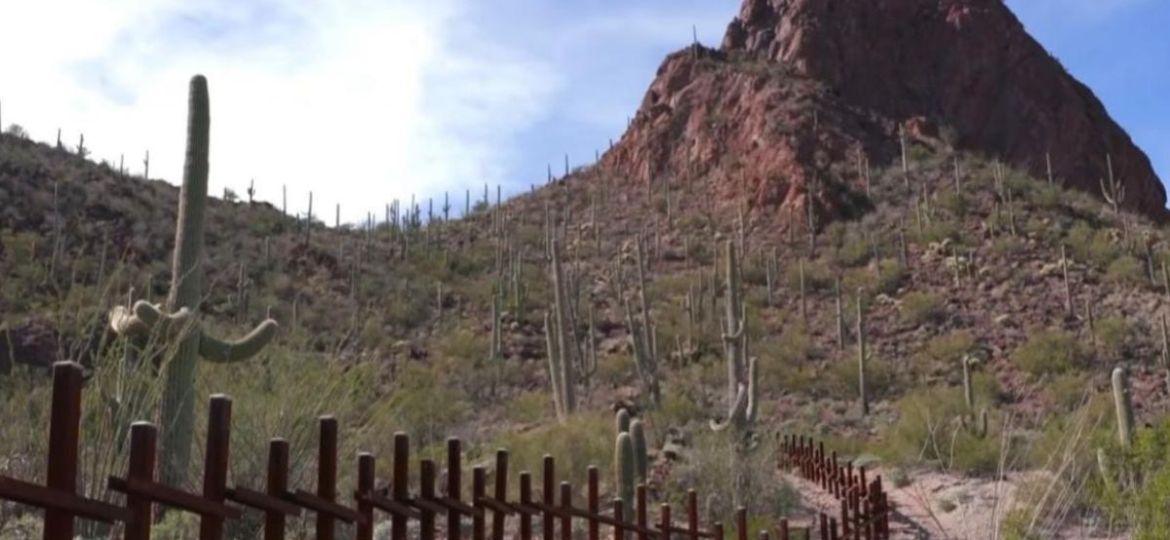nacion-tohono-o-odham-denuncia-retiro-de-miles-de-saguaros-por-obras-del-muro-fronterizo